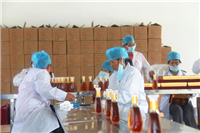 试验机行业的革故鼎新,新型塑料冲击试验机问世